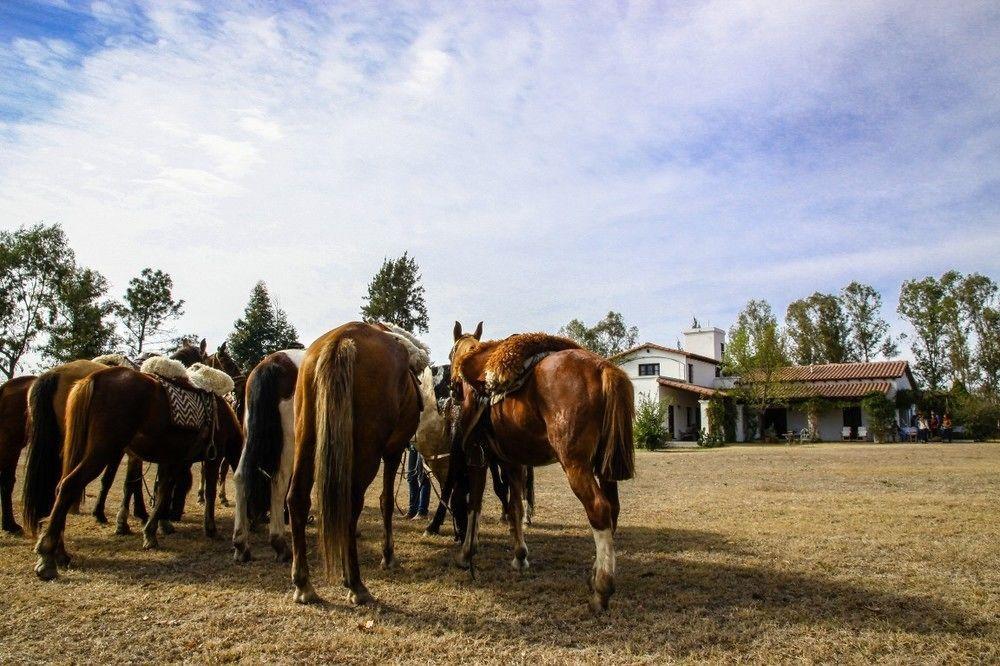 Finca Valentina El Encón المظهر الخارجي الصورة